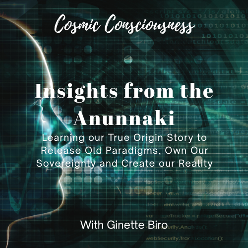 Insights from the Anunnaki - Learning Our True Origin Story to Release Old Paradigms, Own Our Sovereignty & Create Our Reality